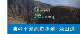 池の平湿原遊歩道・登山道